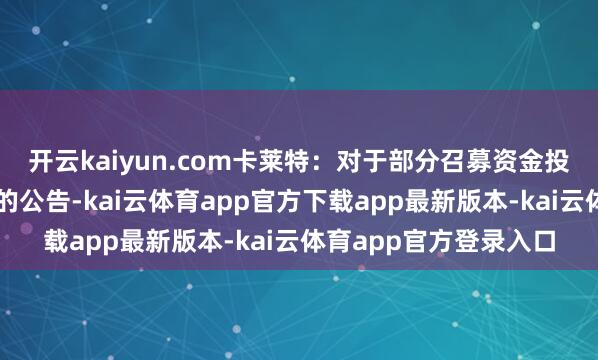 开云kaiyun.com卡莱特:对于部分召募资金投资样式调度奉行场地的公告-kai云体育app官方下载app最新版本-kai云体育app官方登录入口